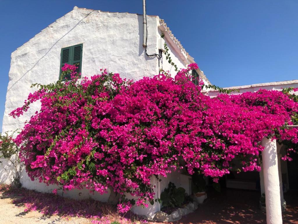 Agroturisme Binisaid Nou Cala Galdana  Exterior foto